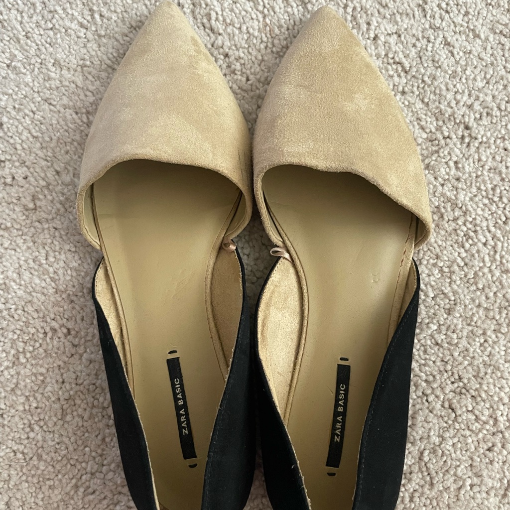 Zara Basic Pointed Toe Flats